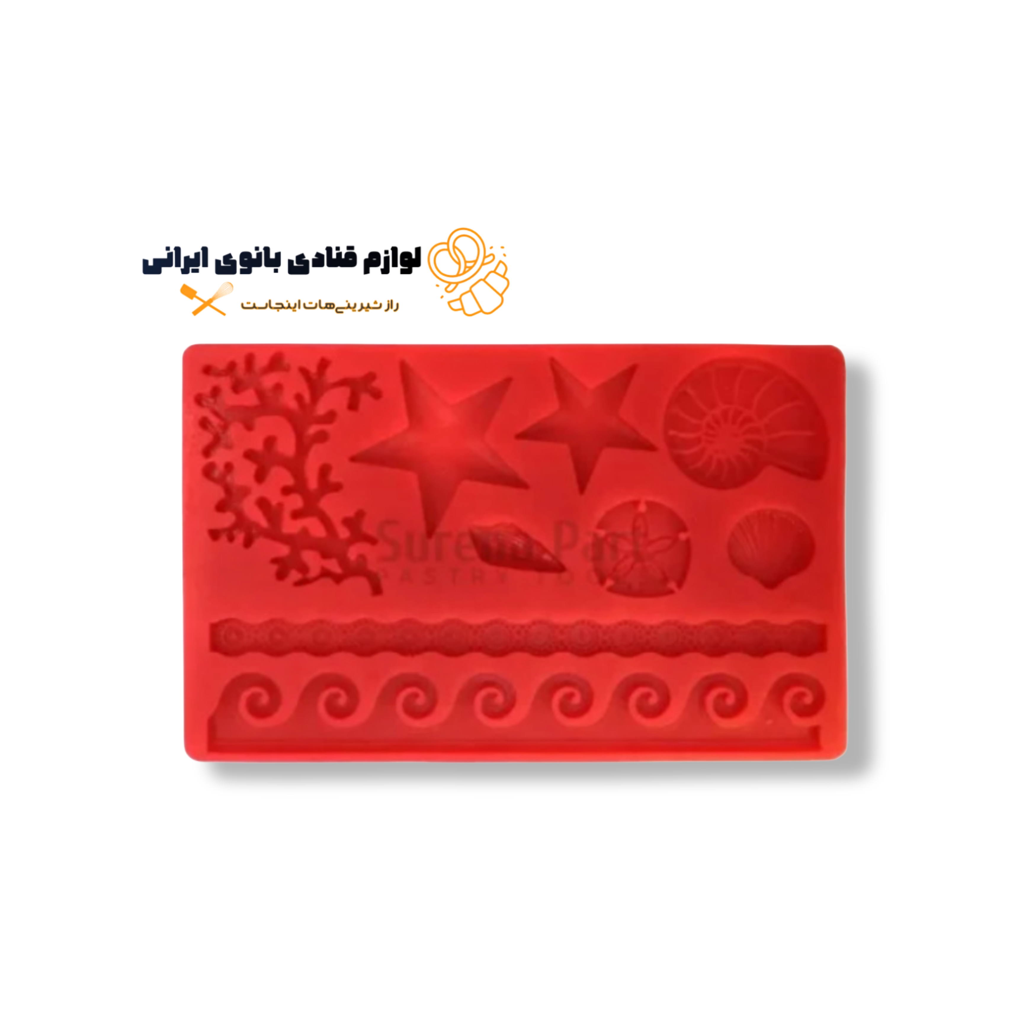 مولد طرح ستاره دريايی, صدف, جلبک